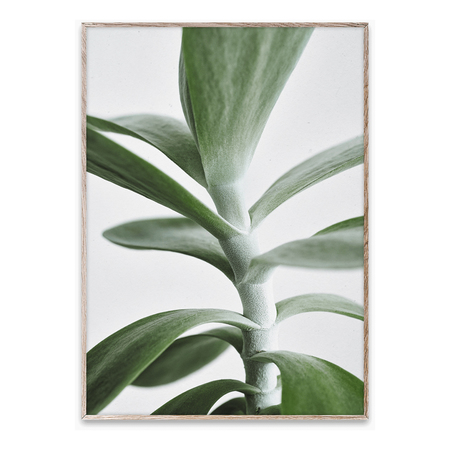 Bild Green Home 04 Paper Collective