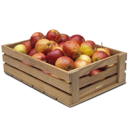 Kiste Dania Teakholz Skagerak