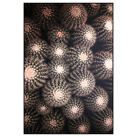 Teppich Tropicana 6 von Schoenstaub