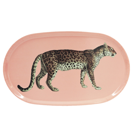Tablet Panthera 1 von Schönstaub