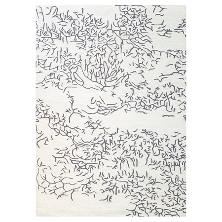 Toulemonde Bochart  Teppich Nature B: 200 cm / L: 300 cm , Grau