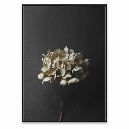 Paper Collective Fotografie 'Hydrangea' 50 x 70 cm 