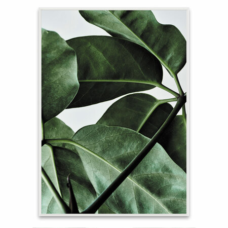 Paper Collective Green Home 01 50 x 70 cm