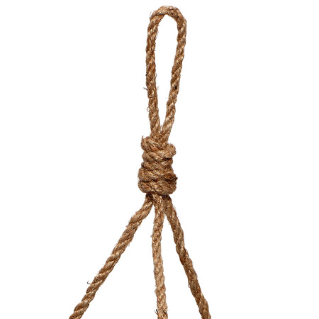 3er Set Hängetöpfe für den Indoor-Garten