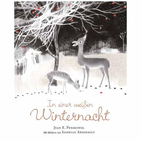 Buch In einer weissen Winternacht 2017
