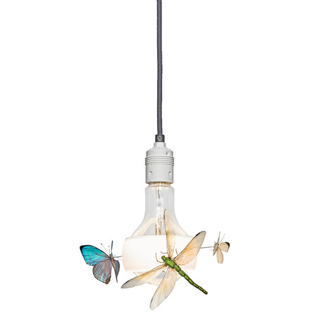 Ingo Maurer Pendelleuchte Johnny B. Butterfly von Ingo Maurer 195 cm