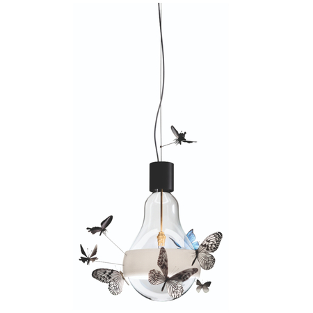 Ingo Maurer Pendelleuchte Flatterby Limited Edition G9 von Ingo Maurer Transparent