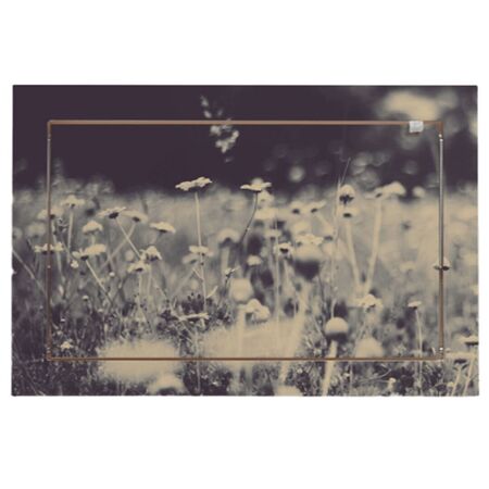 Ambivalenz 'Fläpps' 1-er Regal 60 x 40 cm - Wild and Free  Wild and Free, B: 60 cm / H: 40 cm 