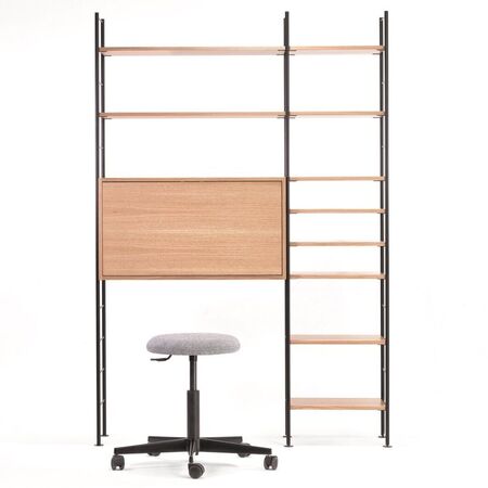 Richard_Lampert_Hirche_Regal_DHS_10_Kombination_7_Eiche_Schwraz_Leiterelement