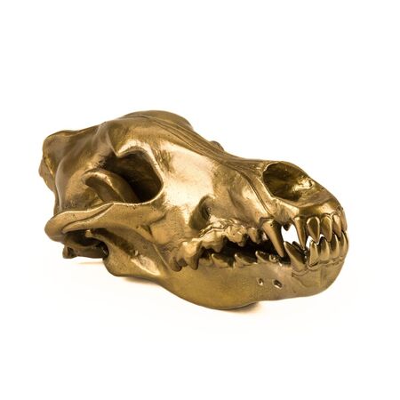 Dekoobjekt Wolf Skull von Diesel Living with Seletti