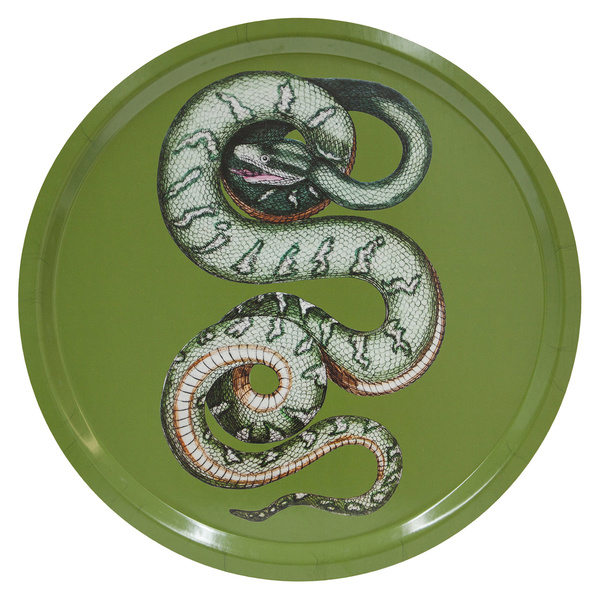 Animal tray Serpentes 1