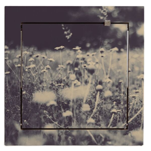 Fläpps Regal 40×40-1 Wild and Free Ingrid Beddoes