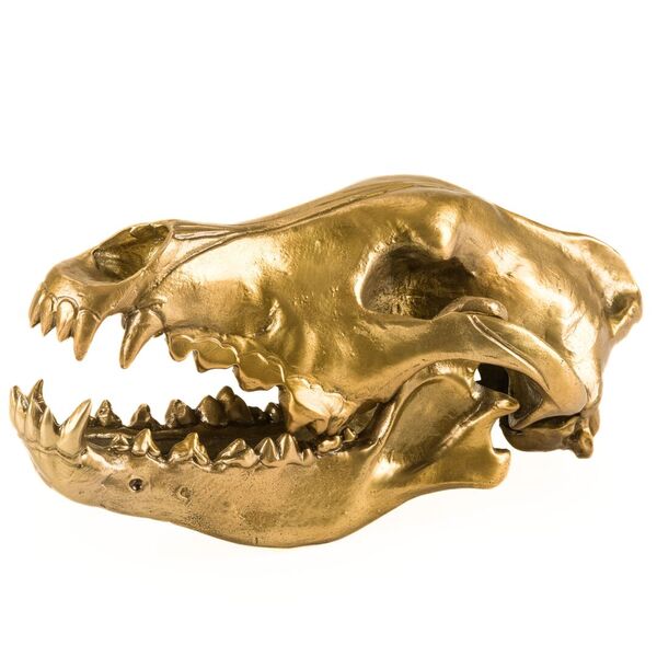 Diesel Living Wolf Skull Objet Décoratif
