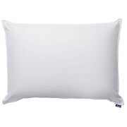 BodySoft pillow from Bico